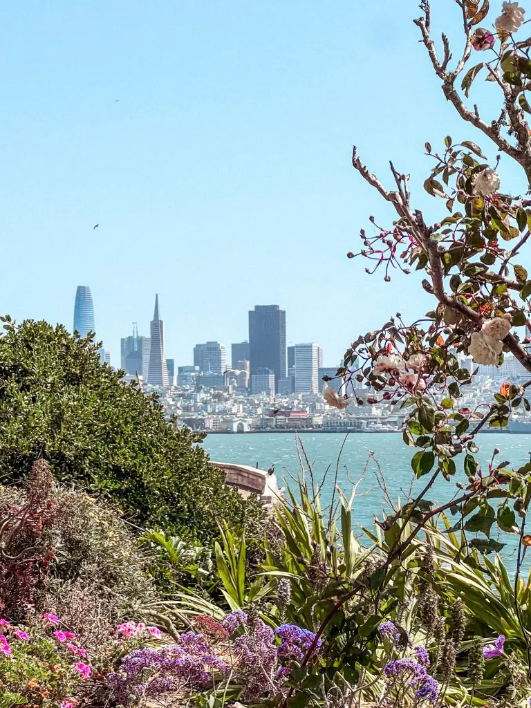 view of San Francisco skyline from Alcatraz