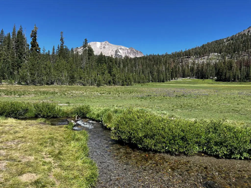 Kings Creek meadow in Lassen National Park