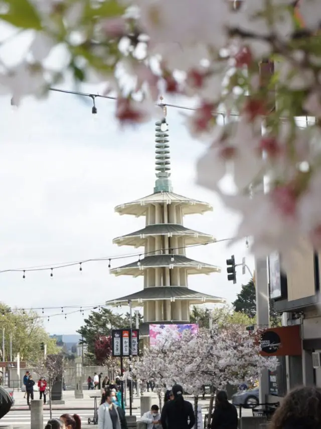 Things To Do In Japantown Story Just Chasing Sunsets things-to-do-in-japantown-story-just-chasing-sunsets