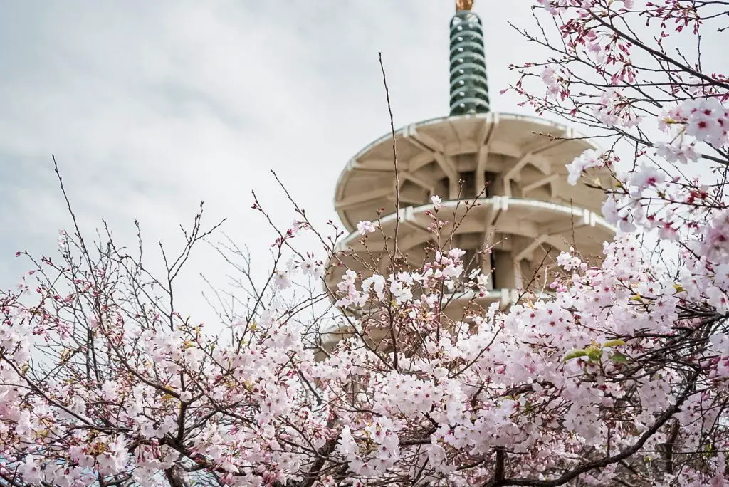 things to do in Japantown San Francisco