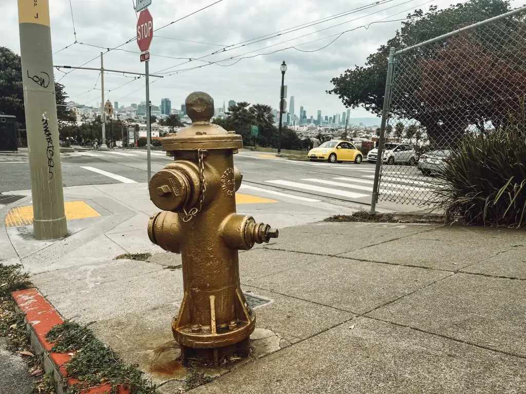 Golden Fire Hydrant in the Mission San Francisco, CA