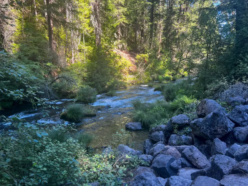 Burney Creek in McArthur-Burney Falls State Park.