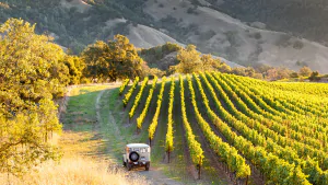 Things to do in Healdsburg