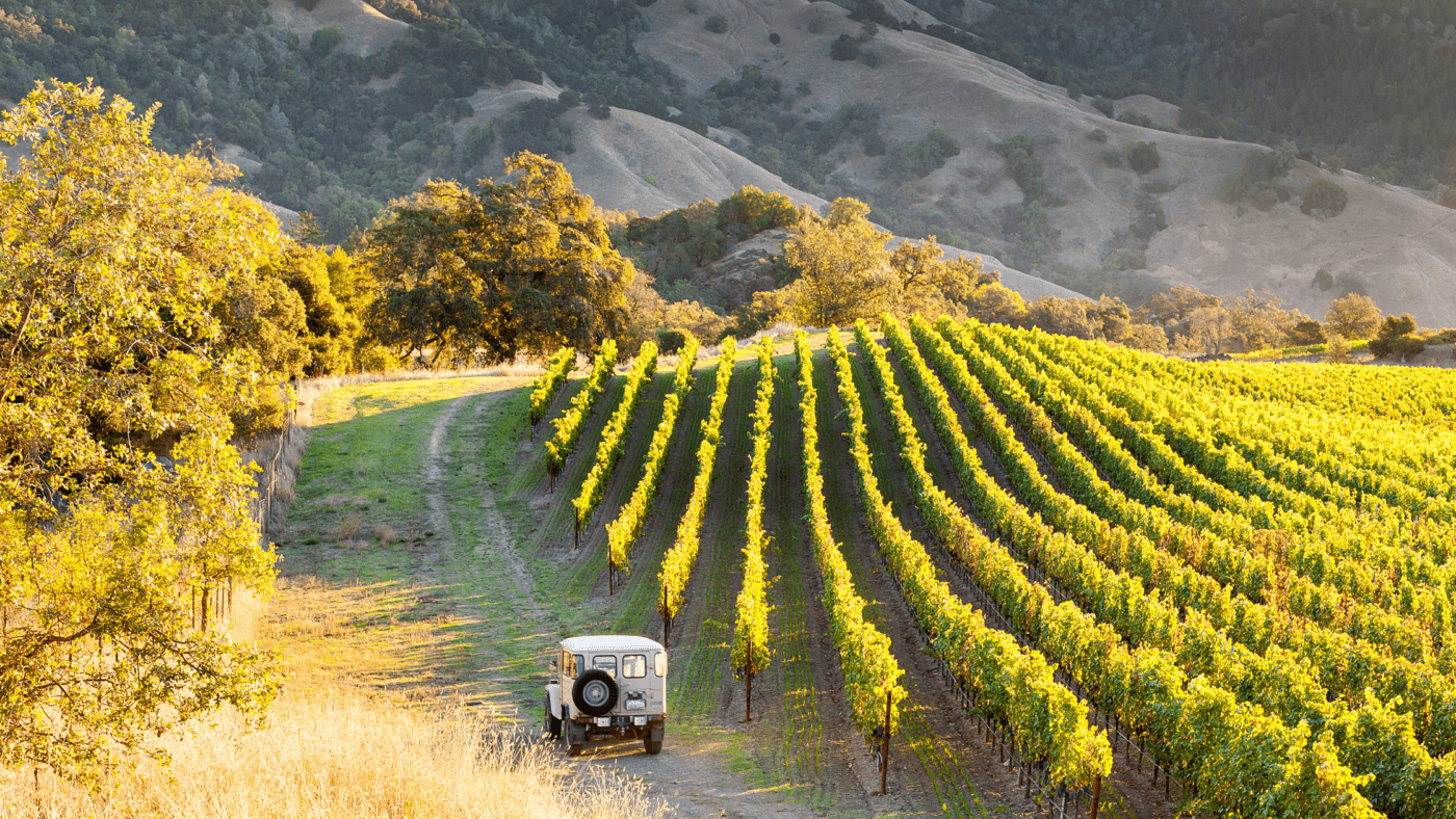 Fun Things to Do In Healdsburg: Wine Tasting, Restaurants + More
