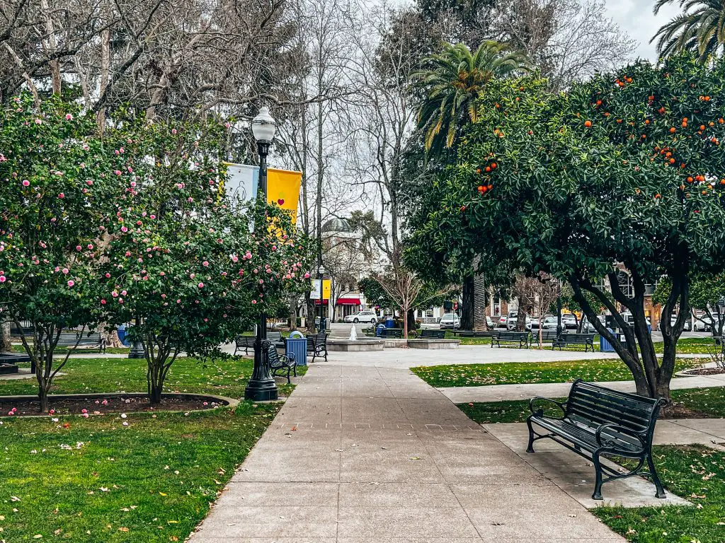 Healdsburg plaza in downtown Healdsburg, CA.