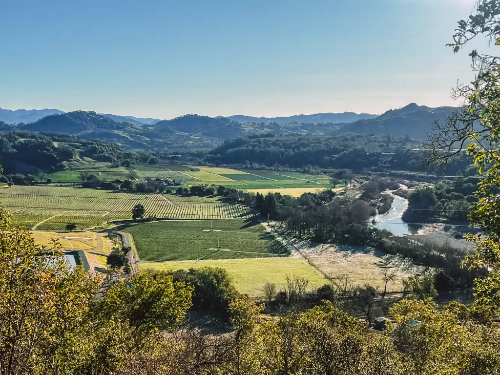 View of the Russian River and Healdsburg vineyards from the Russian River Overlook in Healdsburg.