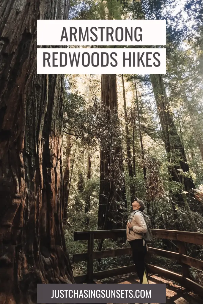 Armstrong redwoods hike.