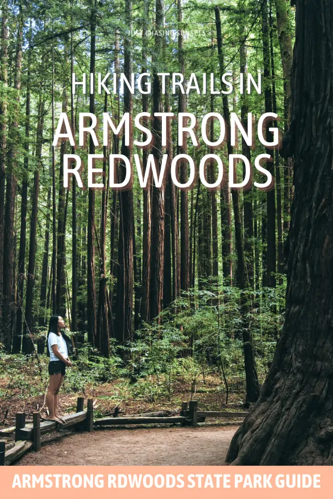 Top hikes in Armstrong Redwoods.