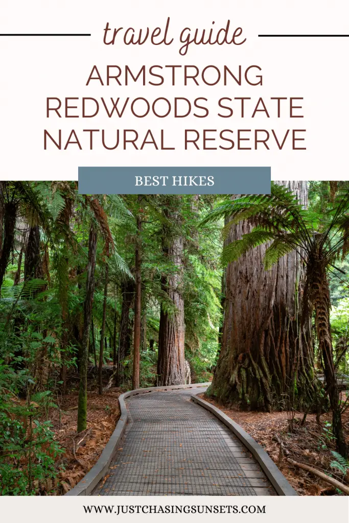 Best hikes in Armstrong Redwoods State Park.