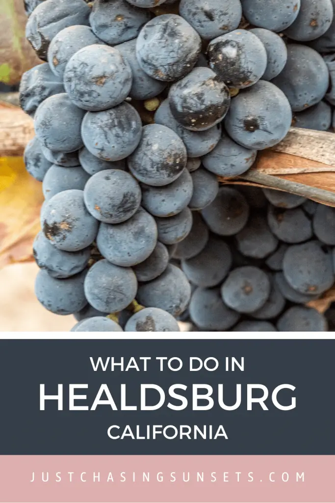 What to do in Healdsburg, California