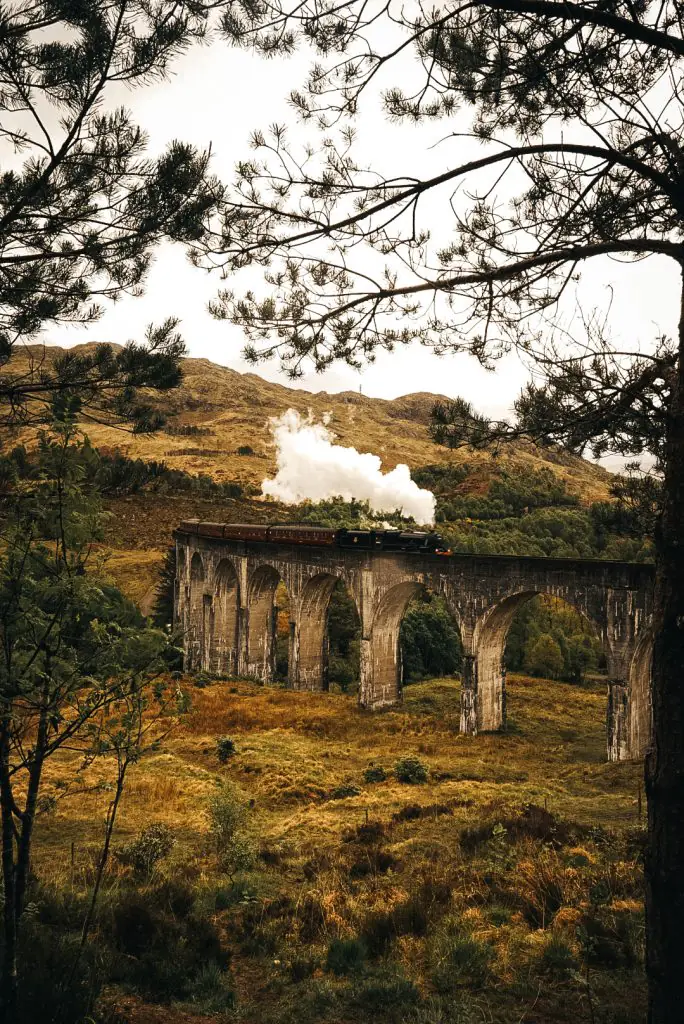 Train moving over the Glenfinnan Viaduct seen through the trees in Scotland.