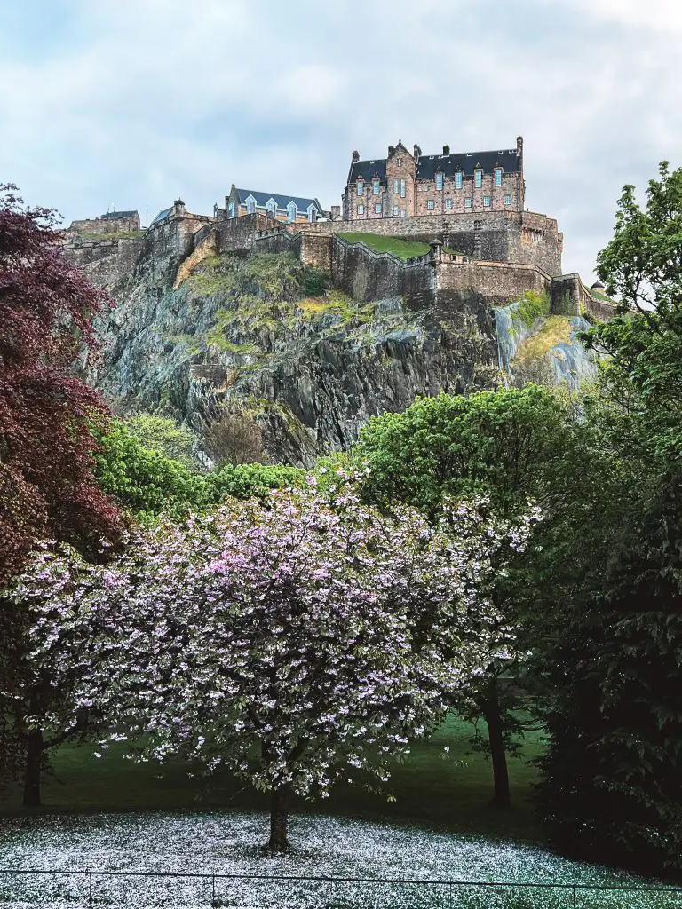 Edinburgh Castle as seen from Princes Street Gardens with Cherry Blossom trees blooming.