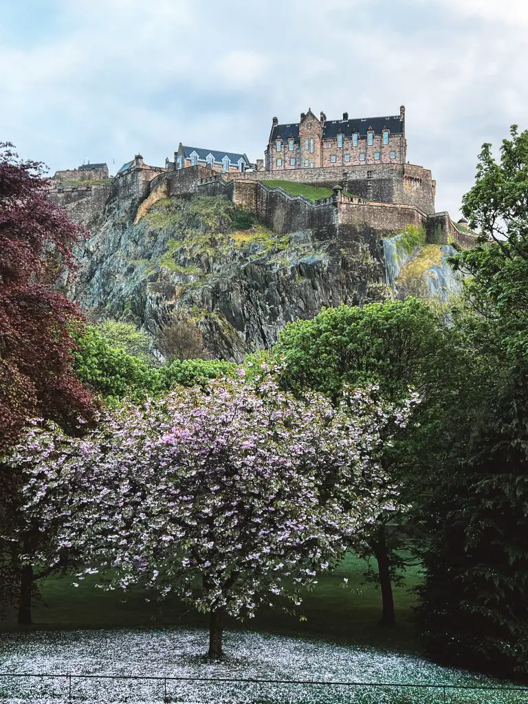 Edinburgh Castle as seen from Princes Street Gardens with Cherry Blossom trees blooming.