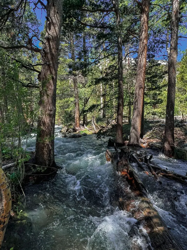 Rushing river on the Parker Lake trail.