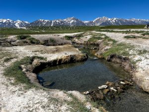 Wild Willy's Hot Springs