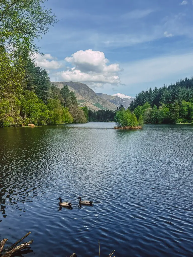 Things to do in Glencoe, Scotland: Hike Glencoe Lochan