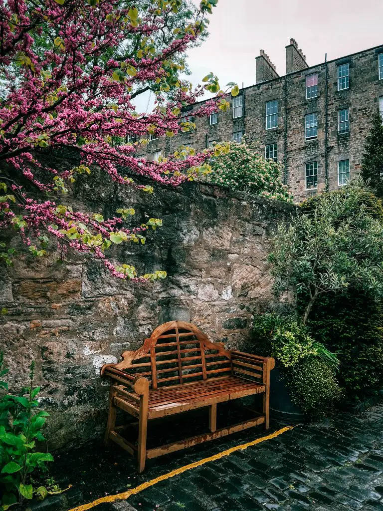 Bench on a cobblestone street surrounding by flowers during spring in Edinburgh