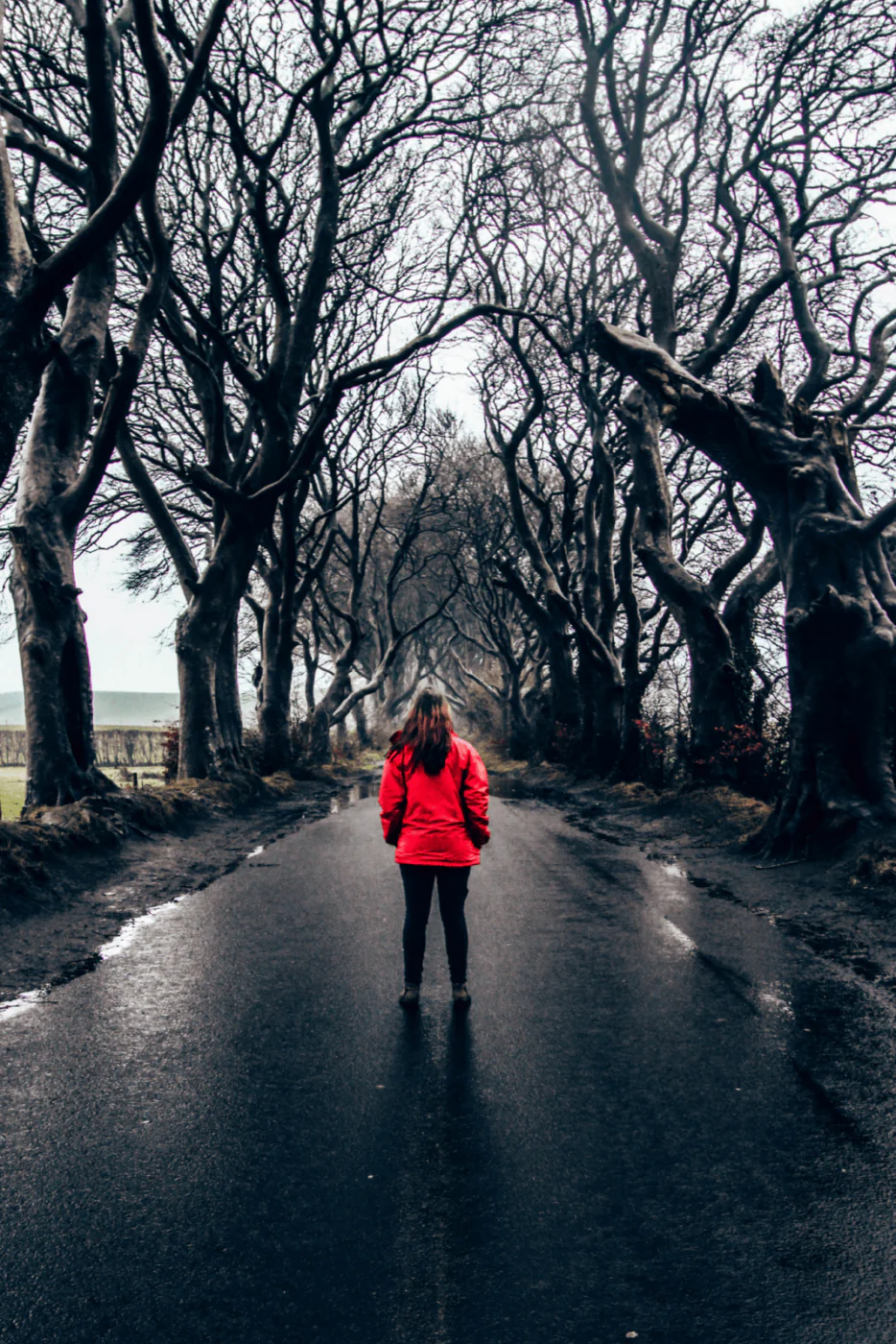 Woman in red coat standing on rainy street at the dark hedges.