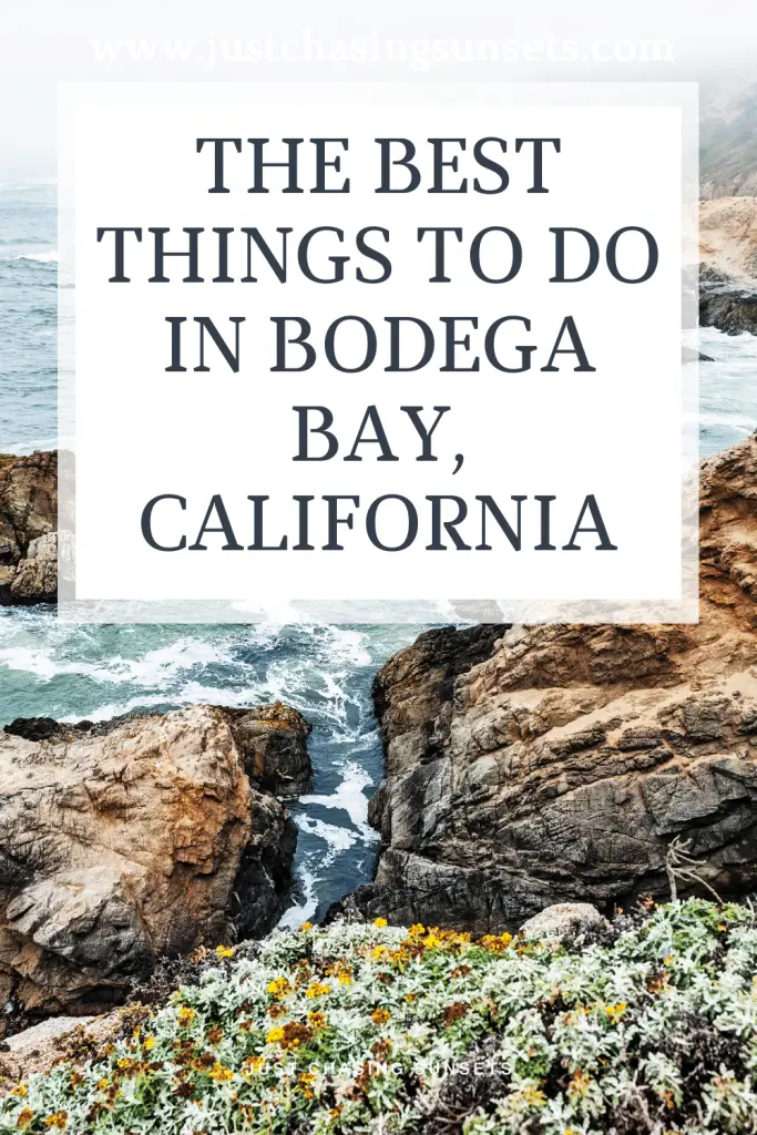 The best things to do in Bodega Bay, CA.