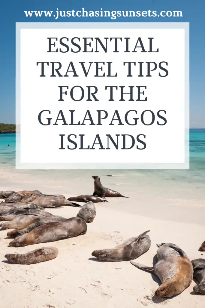 Solo Travel Tips: The Galapagos Islands
