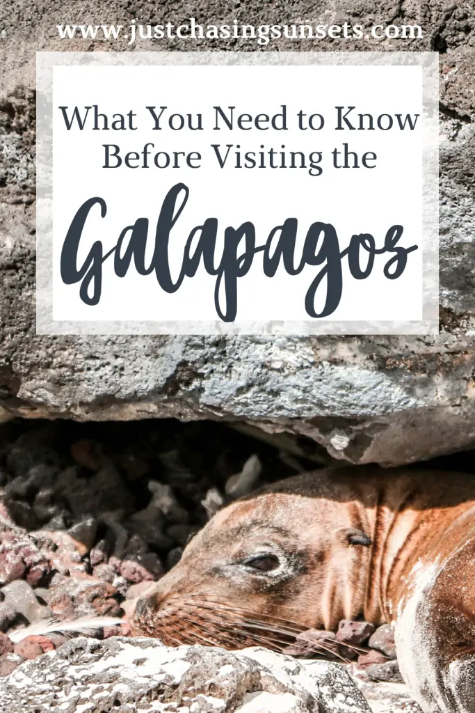 The Best Galapagos Islands Travel Tips
