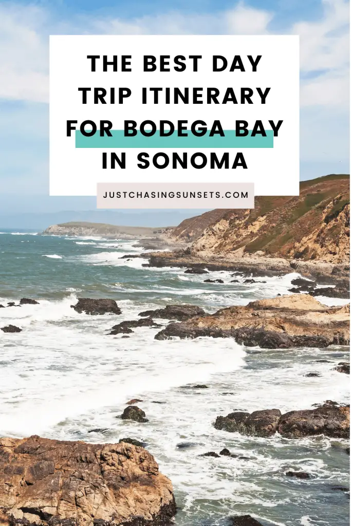 The best day trip to Bodega Bay, California.