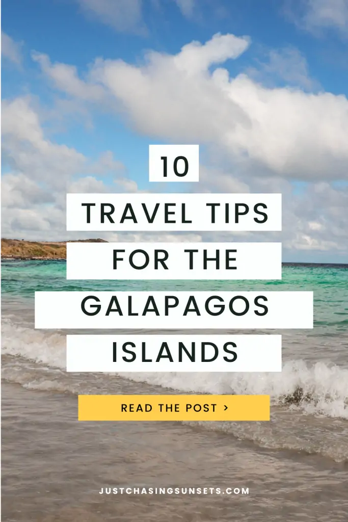 10 Best Travel Tips for the Galapagos Islands
