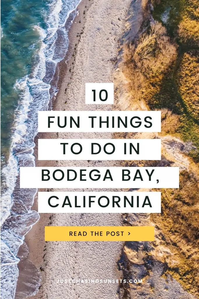10 fun things to do in Bodega Bay, CA.