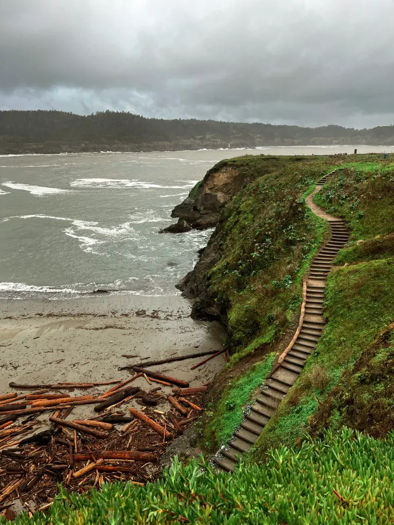 Mendocino Headlands State Park