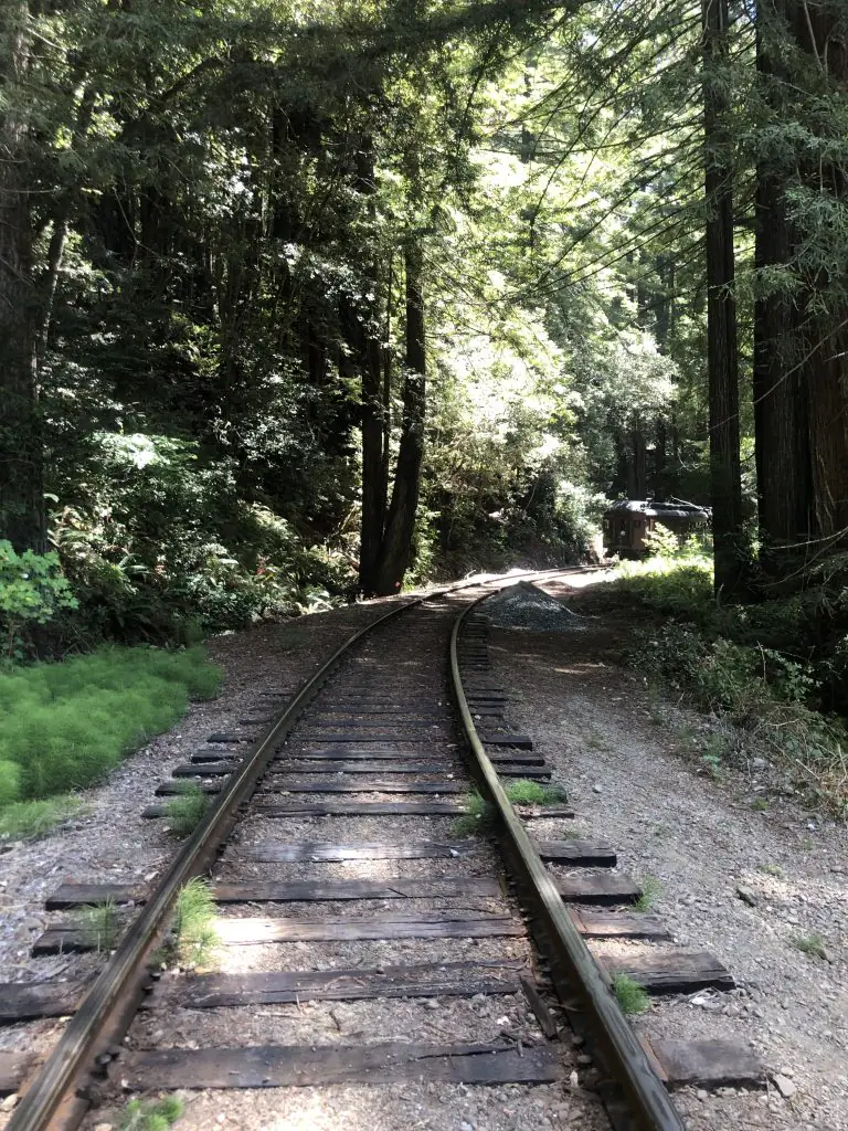 Railroad leading in to the Redwood forest.