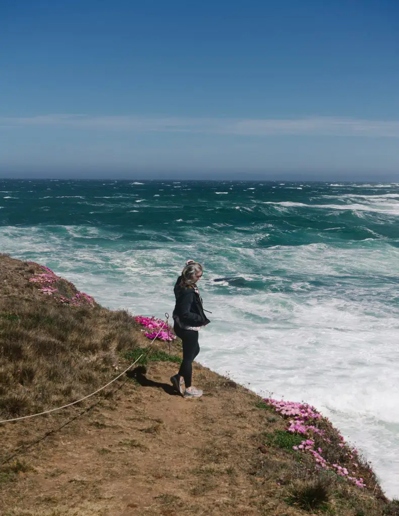 Mendocino Coast Botanical Gardens