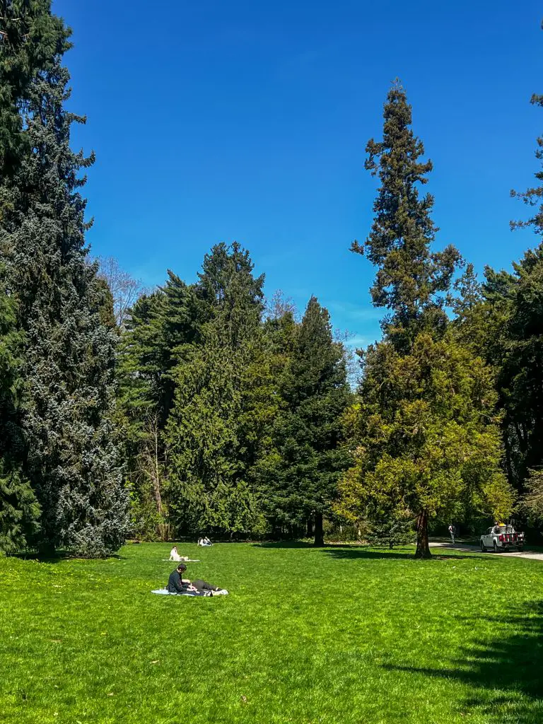 Volunteer Park in Capitol Hill Seattle