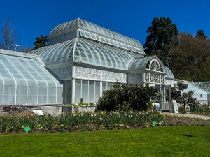 Things to do in Capitol Hill Seattle.