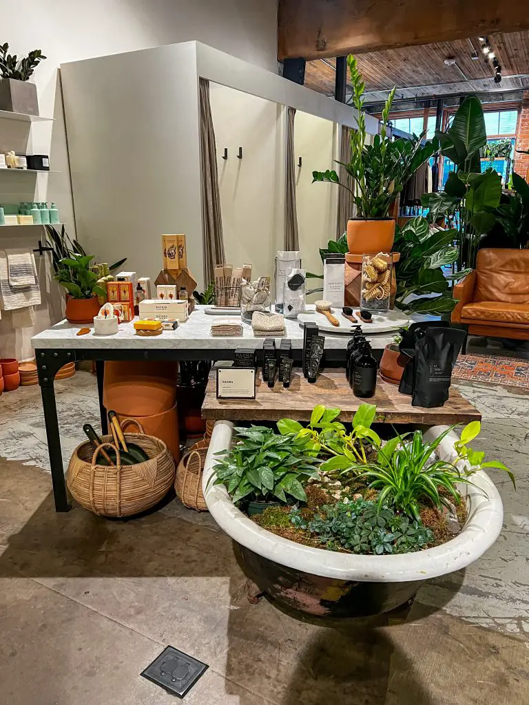 Glasswing Shop