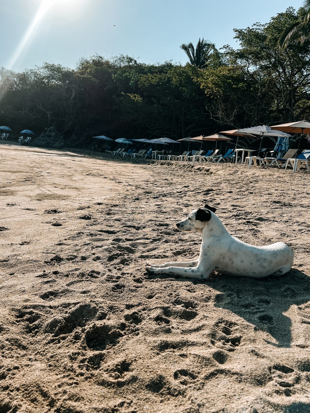 Sayulita, Mexico