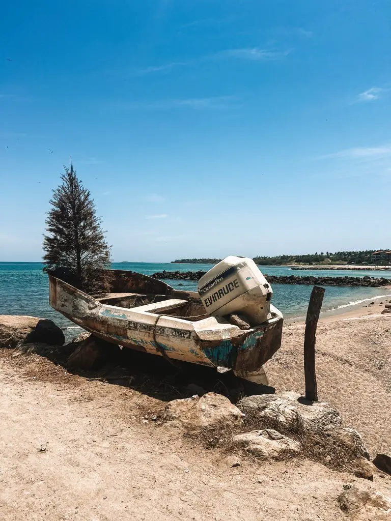 Day trip to Marietas Island