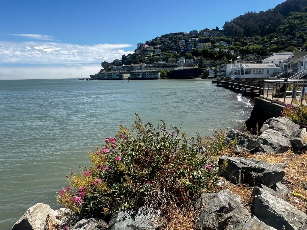 The best things to do in Sausalito, California