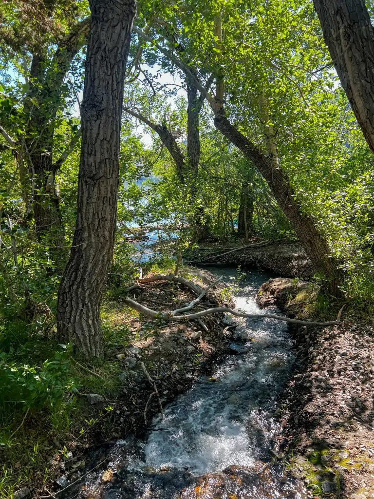 Convict Creek on the Convict Lake Trail