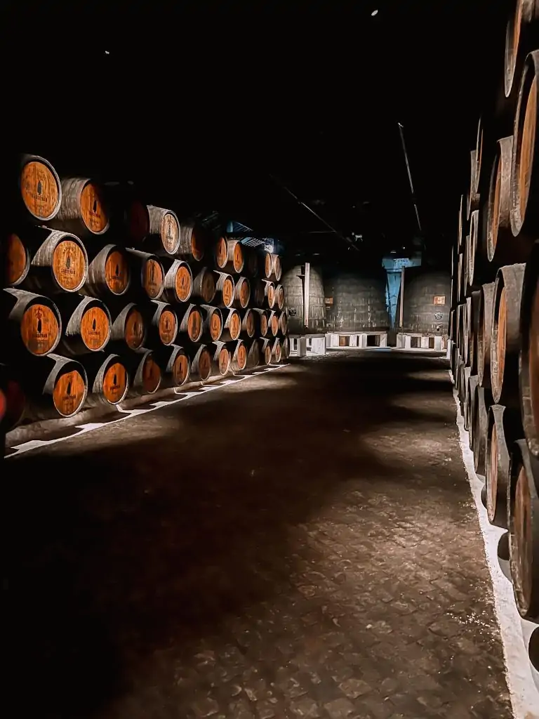 Sandeman Port wine cellar tour
