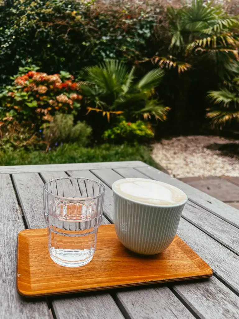 Chai latte and a glass of water in Kali's back garden in Galway, Ireland.