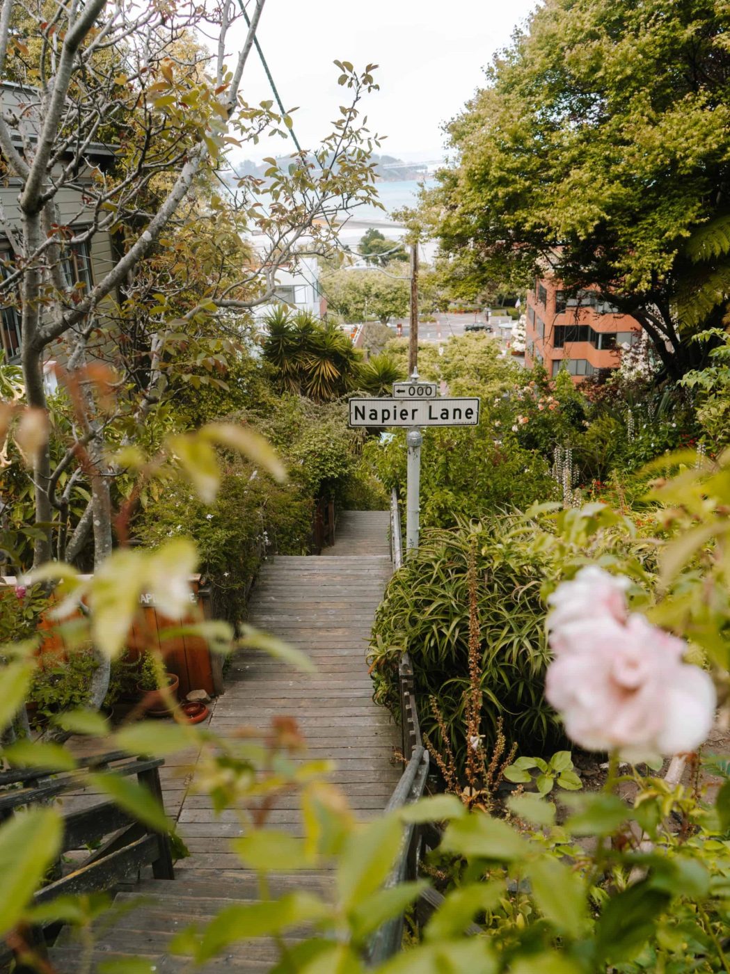 Napier Lane on Filbert Street Steps in San Francisco, California.