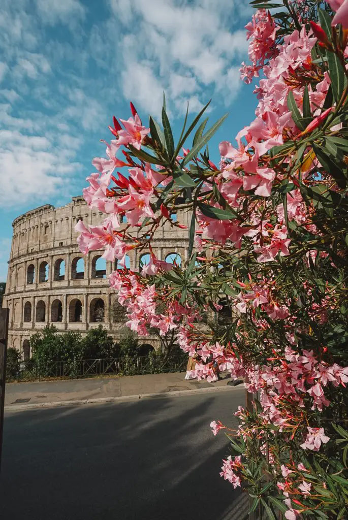 Roman Colosseum