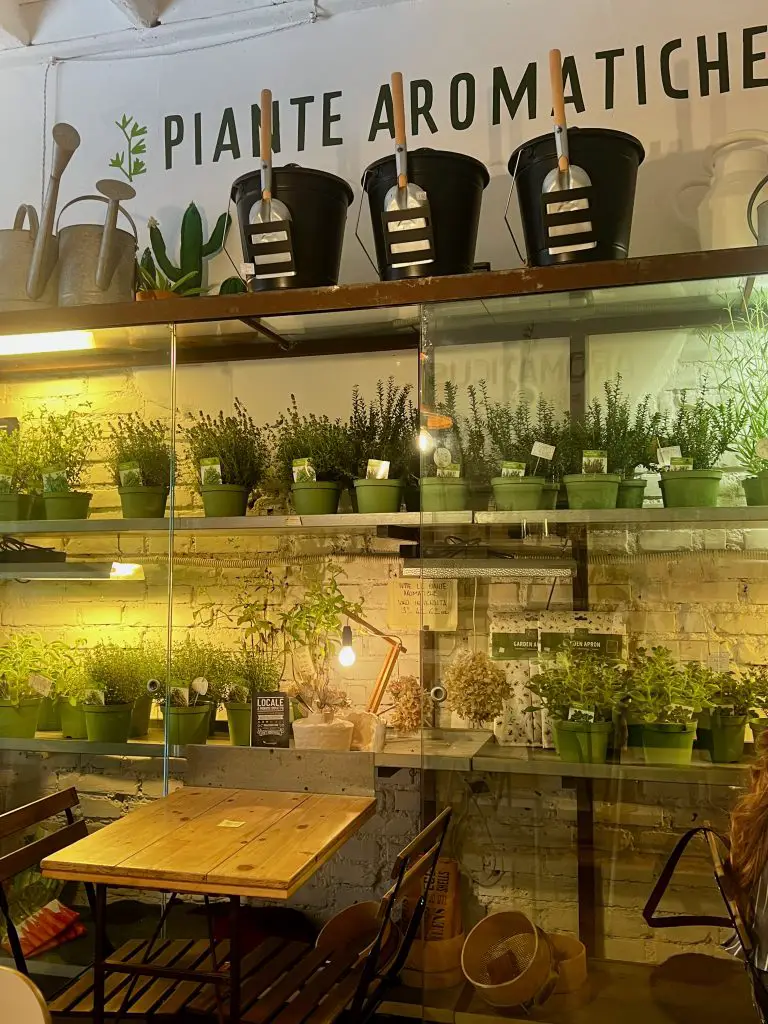 Aromaticus, Monti, Rome, Italy.