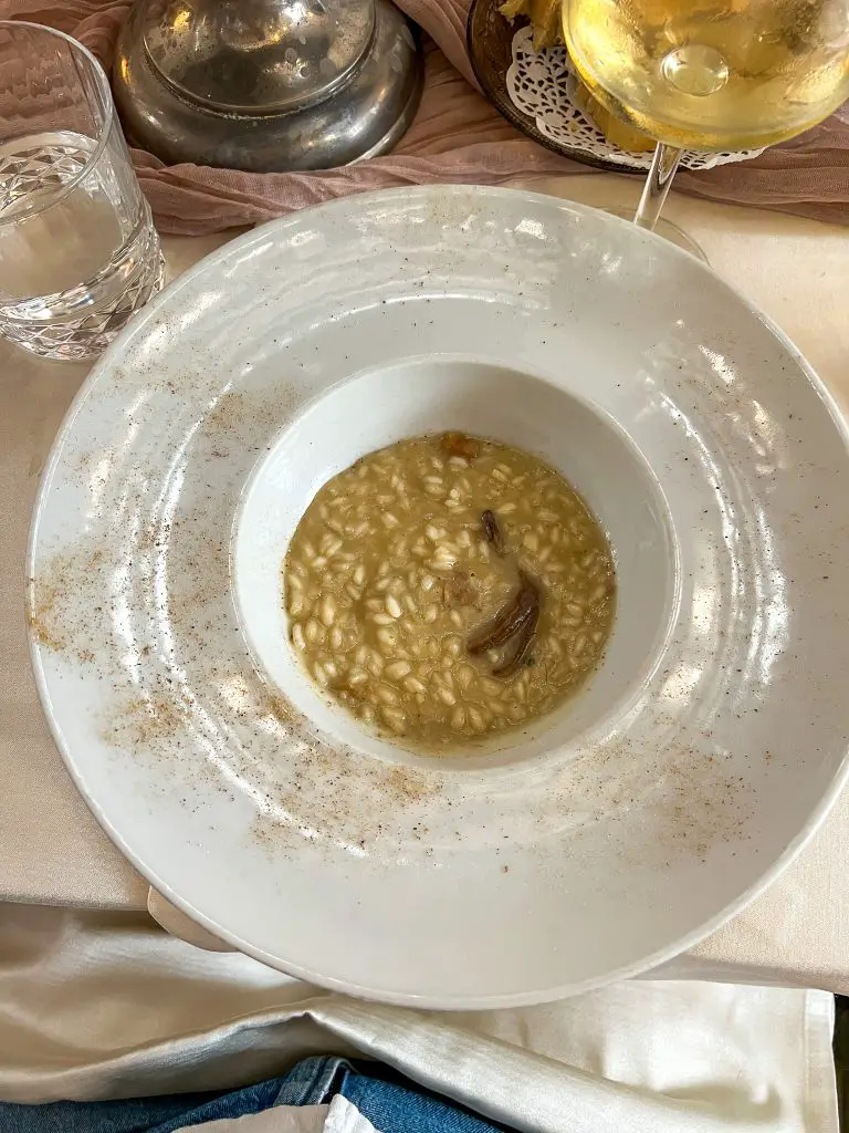 Mushroom risotto at Il Tempio del Gusto in Spoleto, Italy. 