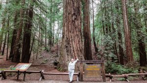 Things to do in Guerneville, California