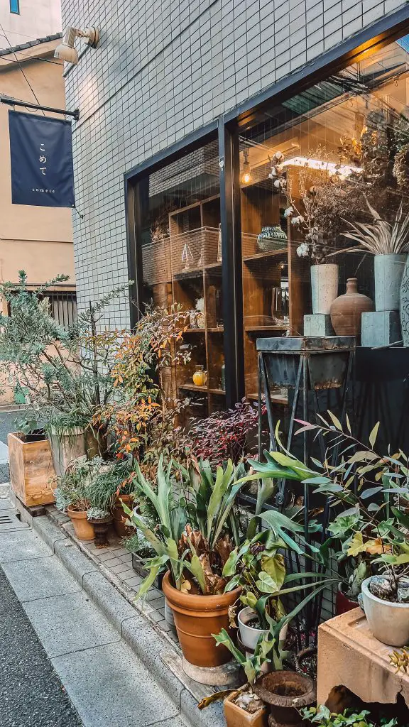 Florist shop in Tokyo, Japan.