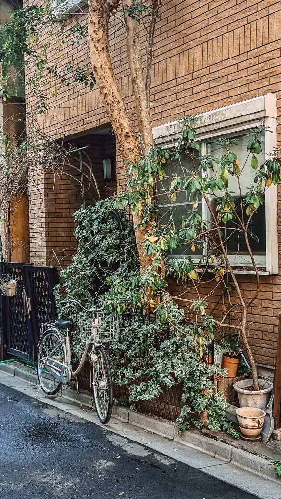 Tokyo streets with bicycle.