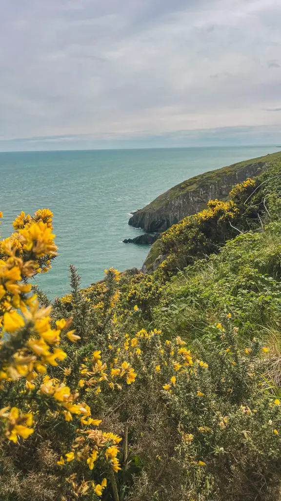 View of Bray Head in Dublin, Ireland.