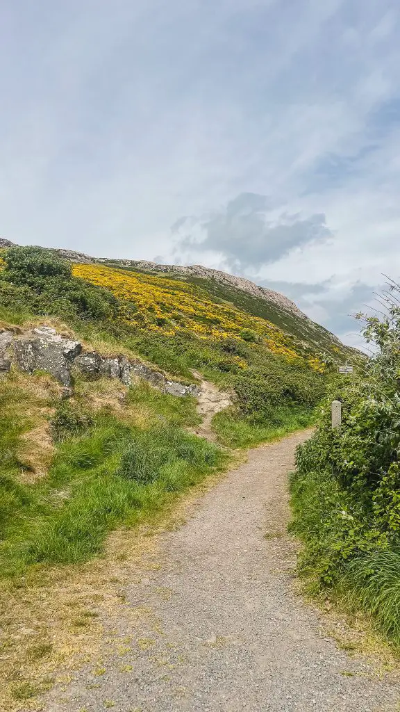 Bray to Greystones Cliff Walk in Ireland.