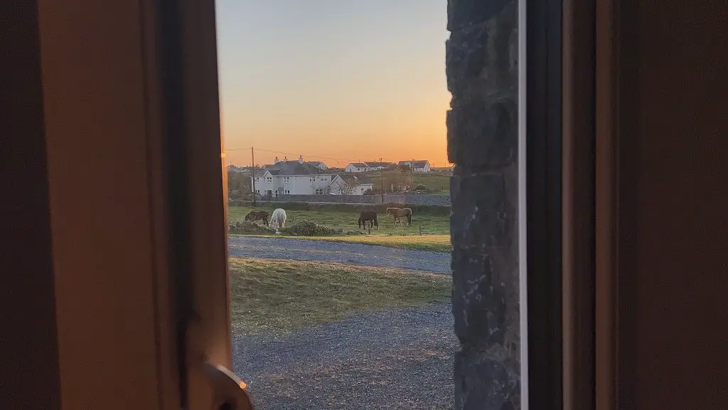 View out of window of field with horses at sunset in Doolin, Ireland.
